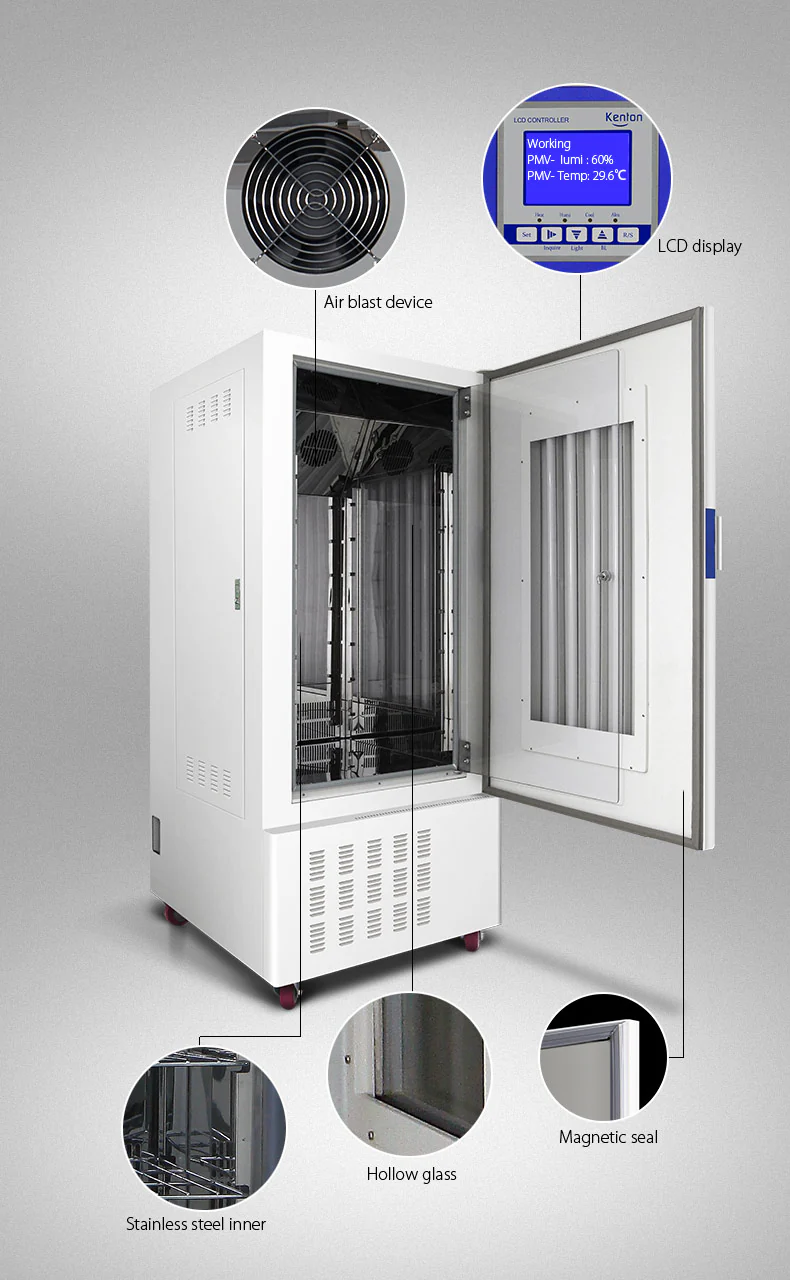LC Lighting Incubator.webp LC Lighting Incubator.webp