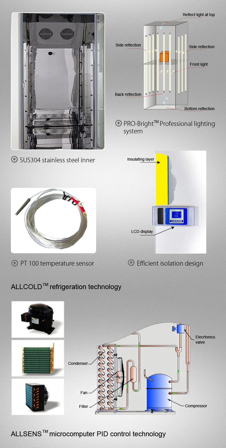 LC Lighting Incubator.webp LC Lighting Incubator.webp