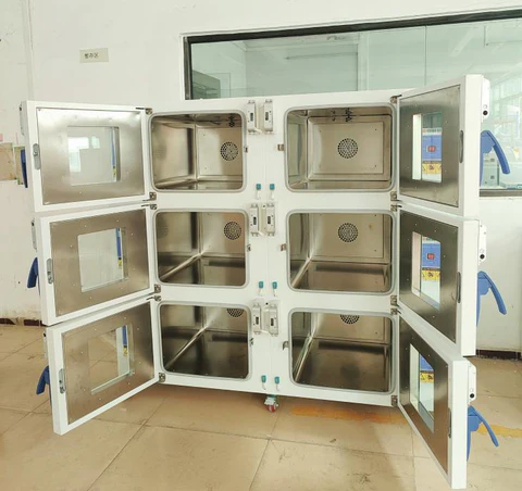 customises-six-ovens-2.webp customises-six-ovens-2.webp